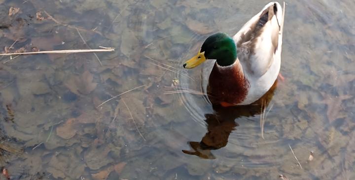 Aider une famille dans le besoin